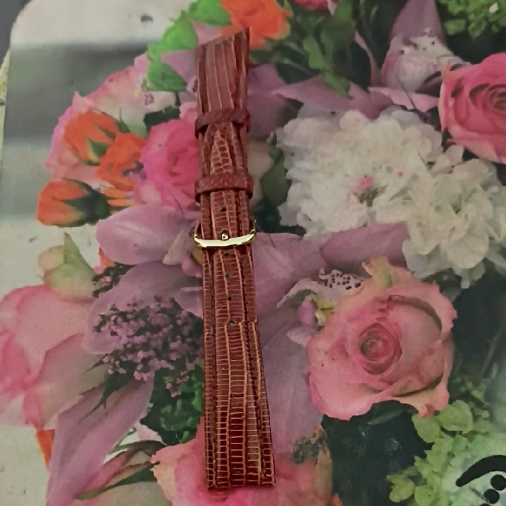 ❤️NEW MENS CITIZENS 18 WATCH GENUINE LIZARD REPLACEMENT STRAP
